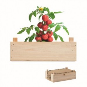 Mini-huerto tomates en caja