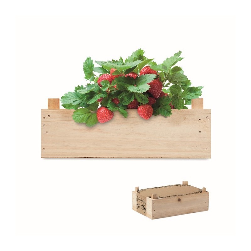 Kit de fresas en caja madera