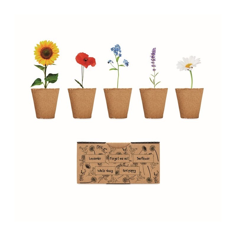 Kit de cultivo de flores