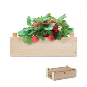 Kit de fresas en caja madera Madera