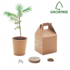 Set para plantar un arbol pino Beige