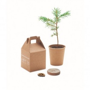 Set para plantar un arbol pino