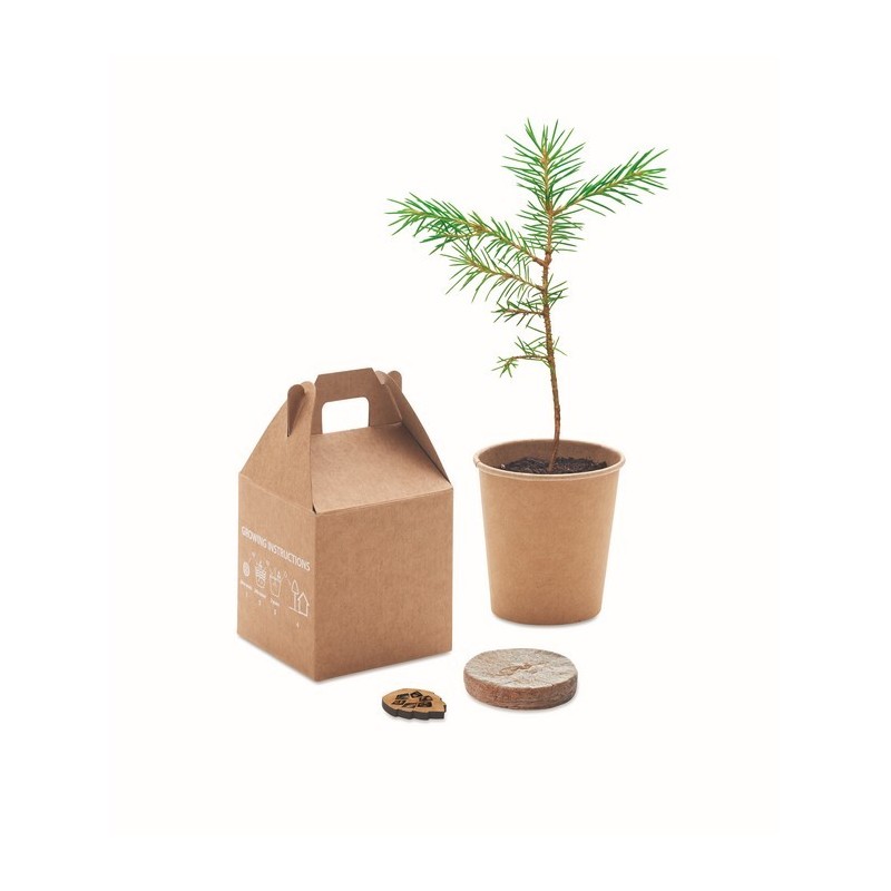 Set para plantar un arbol pino