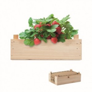 Kit de fresas en caja madera