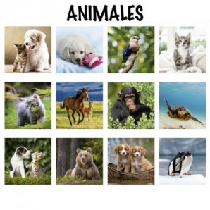 Calendario 2025 espiral mensual 7h Animales - vista 2